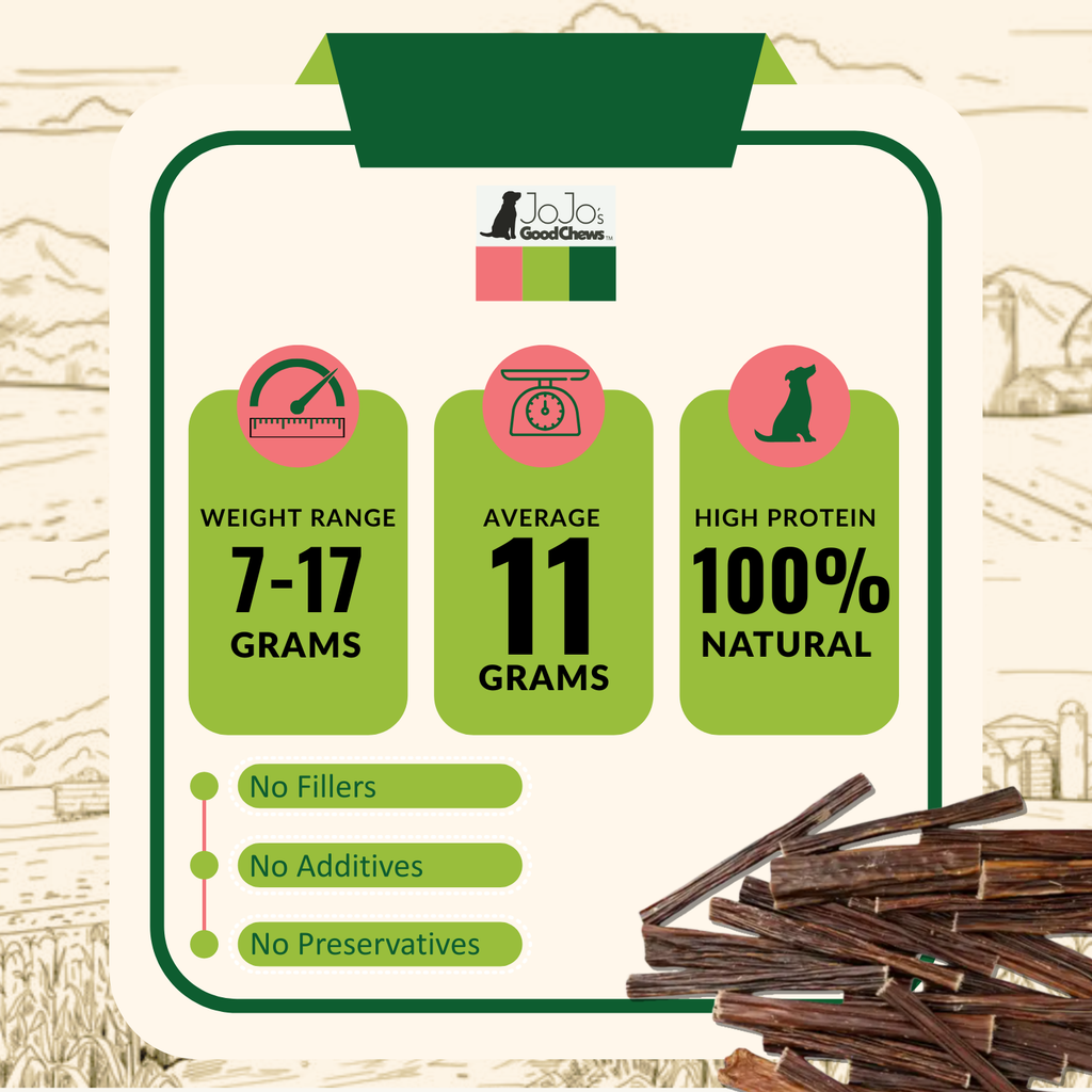 All-Natural Beef Gullet Stick Dog Treats – Delicious & Nutritious, Healthy Chews – 6 Inches (10-Pack)