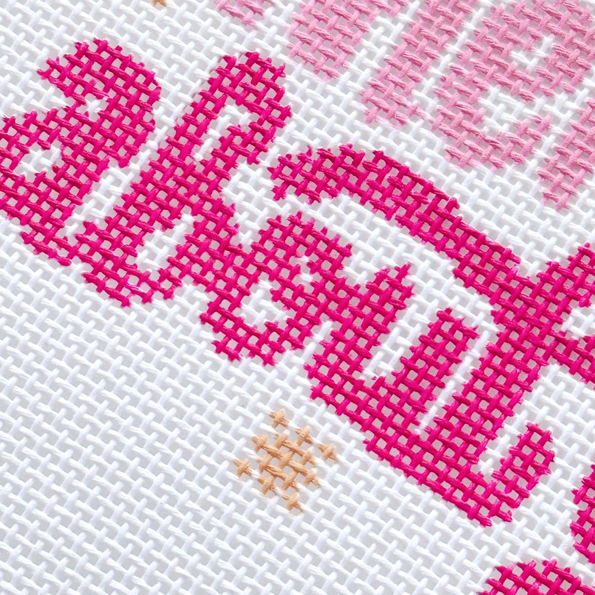 Cotswold Co Designs - Mental Health Needlepoint Canvas, Modern Cheeky Needlepoint Pillow Canvas, 13 Mesh, 9”x6” design, Snarky Needlepoint Canvas