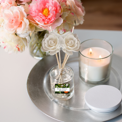 Exotic & Escape Reed Diffuser Collection – Tropical Scents with Mango, Pineapple, Hibiscus & Coconut