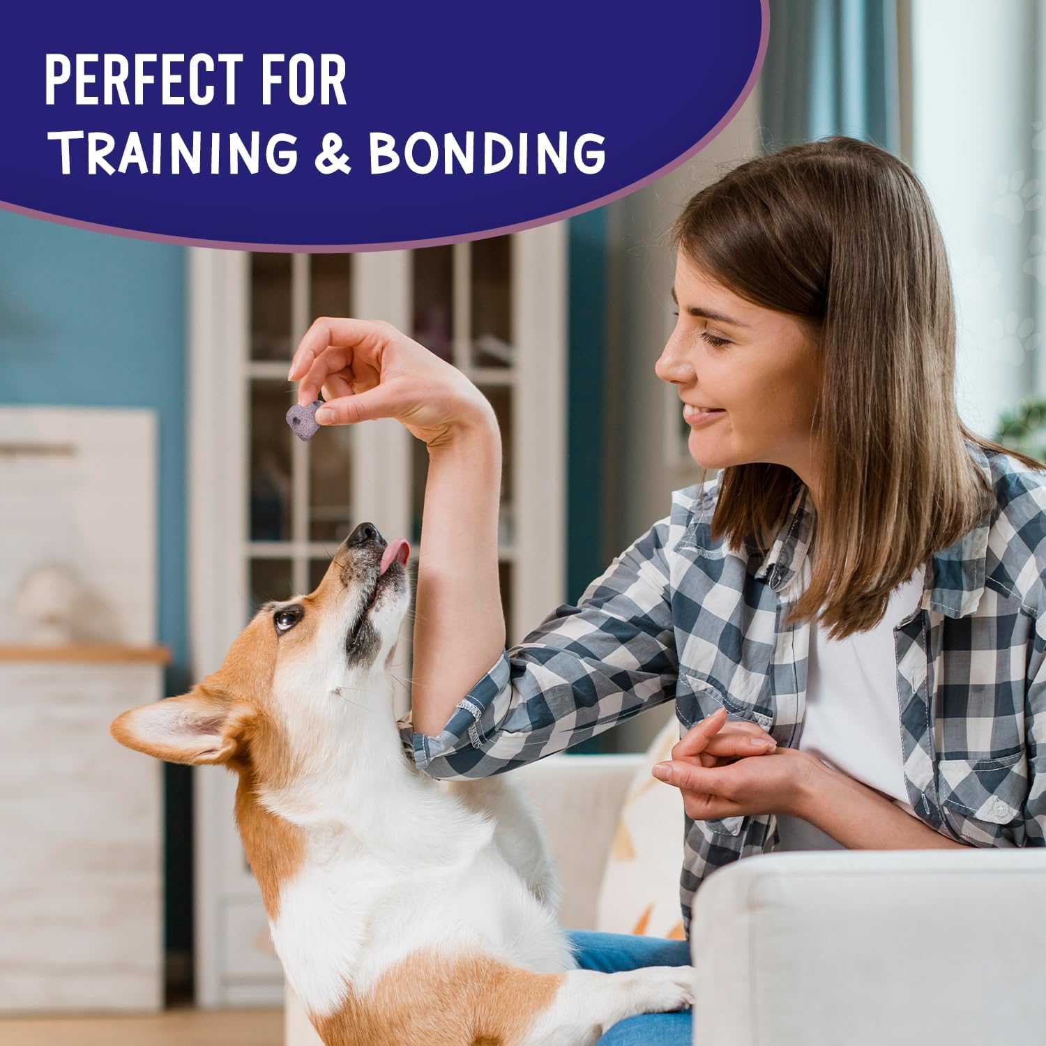 The Much-Loved Dog Premium Training Reward Treats