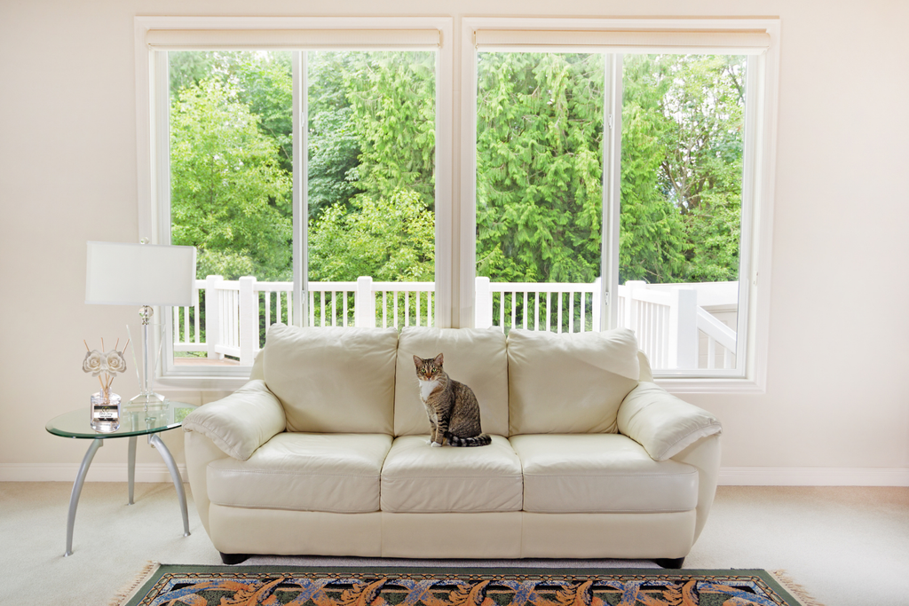 Clean & Fresh Reed Diffuser Collection – Crisp Linen, Cotton & Citrus-Inspired Aromas for a Bright, Airy Home