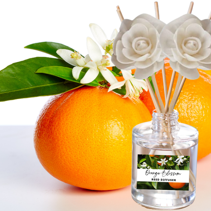 Fruity & Juicy Reed Diffuser Collection – Lively Fruit-Inspired Scents with Apple, Cherry, Kiwi & Melon