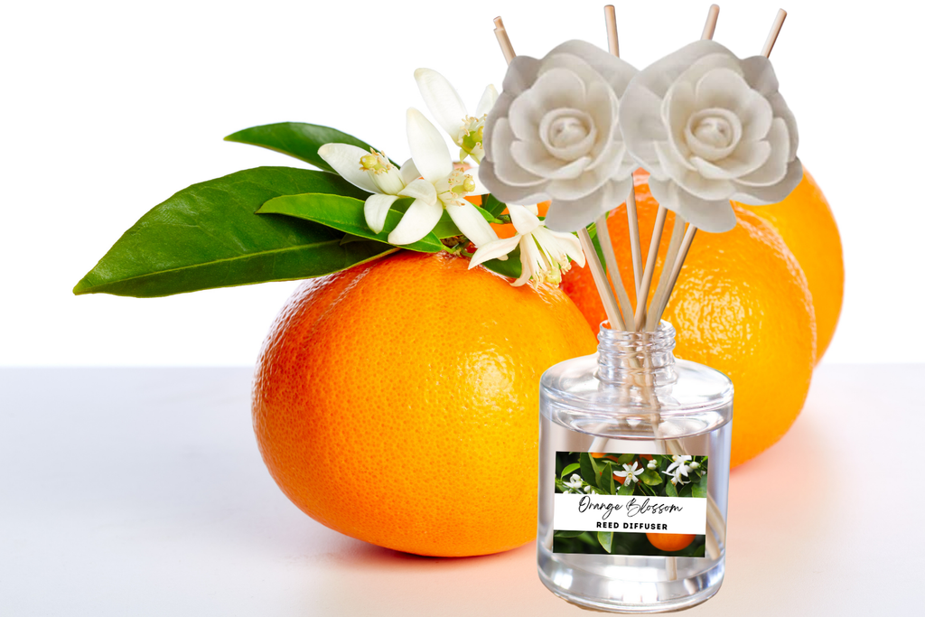 Fruity & Juicy Reed Diffuser Collection – Lively Fruit-Inspired Scents with Apple, Cherry, Kiwi & Melon