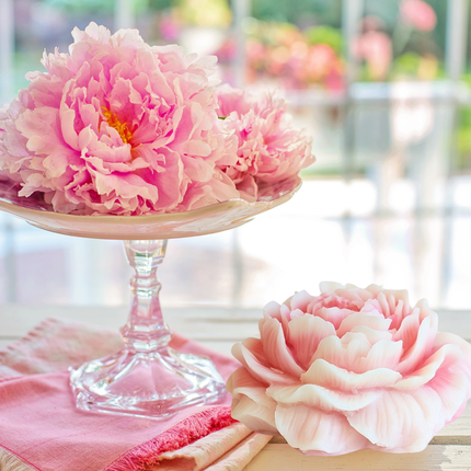 Botanical Wax sachet - Romantic & Floral – Elegant Floral Blends for Gifting & Everyday Luxury