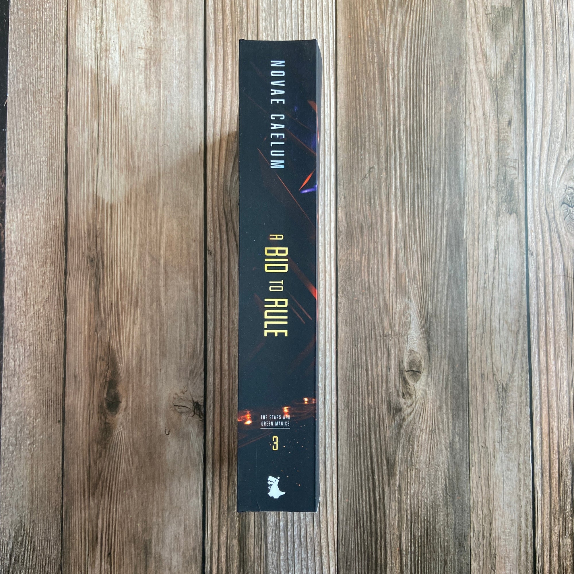 A Bid to Rule: The Stars and Green Magics Book 3 (Paperback)