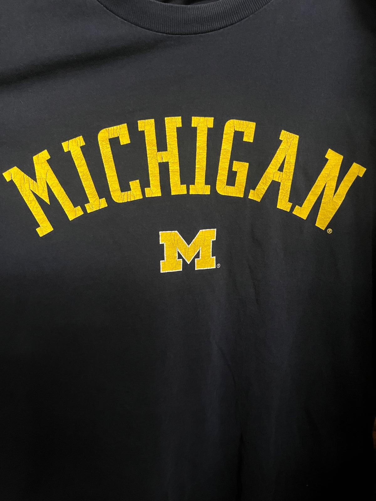 Vintage University of Michigan Shirts Wolverines T-shirt