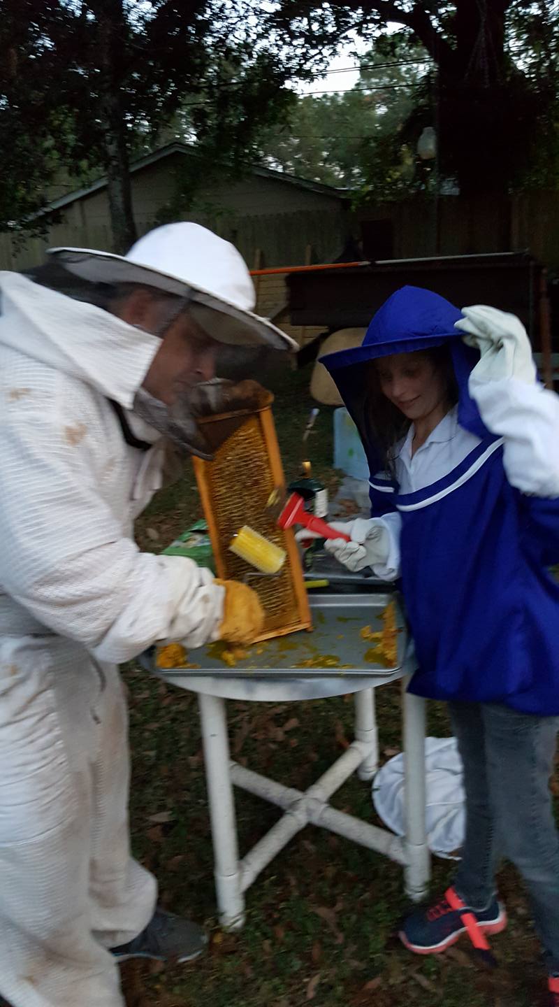 Raw Honey 10oz  Gallberry