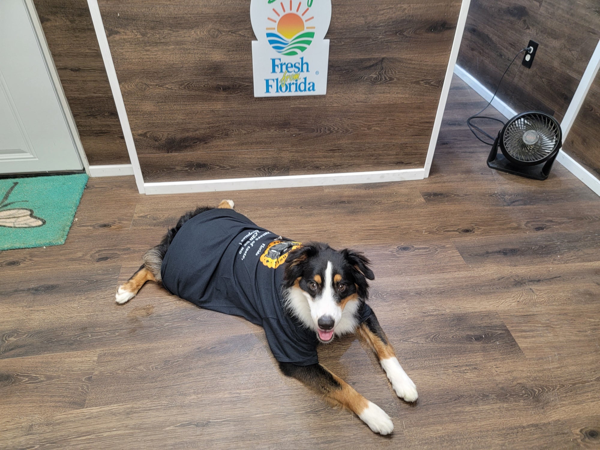 Hibiscus & Rose Honey