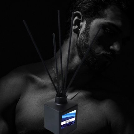 Bold & Masculine Reed Diffuser Collection – Sophisticated Scents with Obsidian, Currant, Wood & Smoke