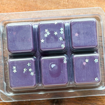 Hidden Library Wax Melt