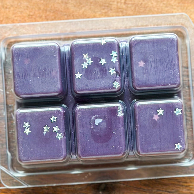Hidden Library Wax Melt