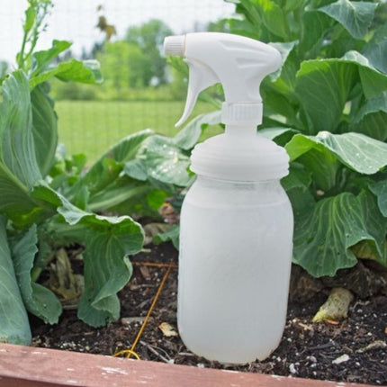 reCAP® Mason Jar Lids 6-Piece Gardening Kit