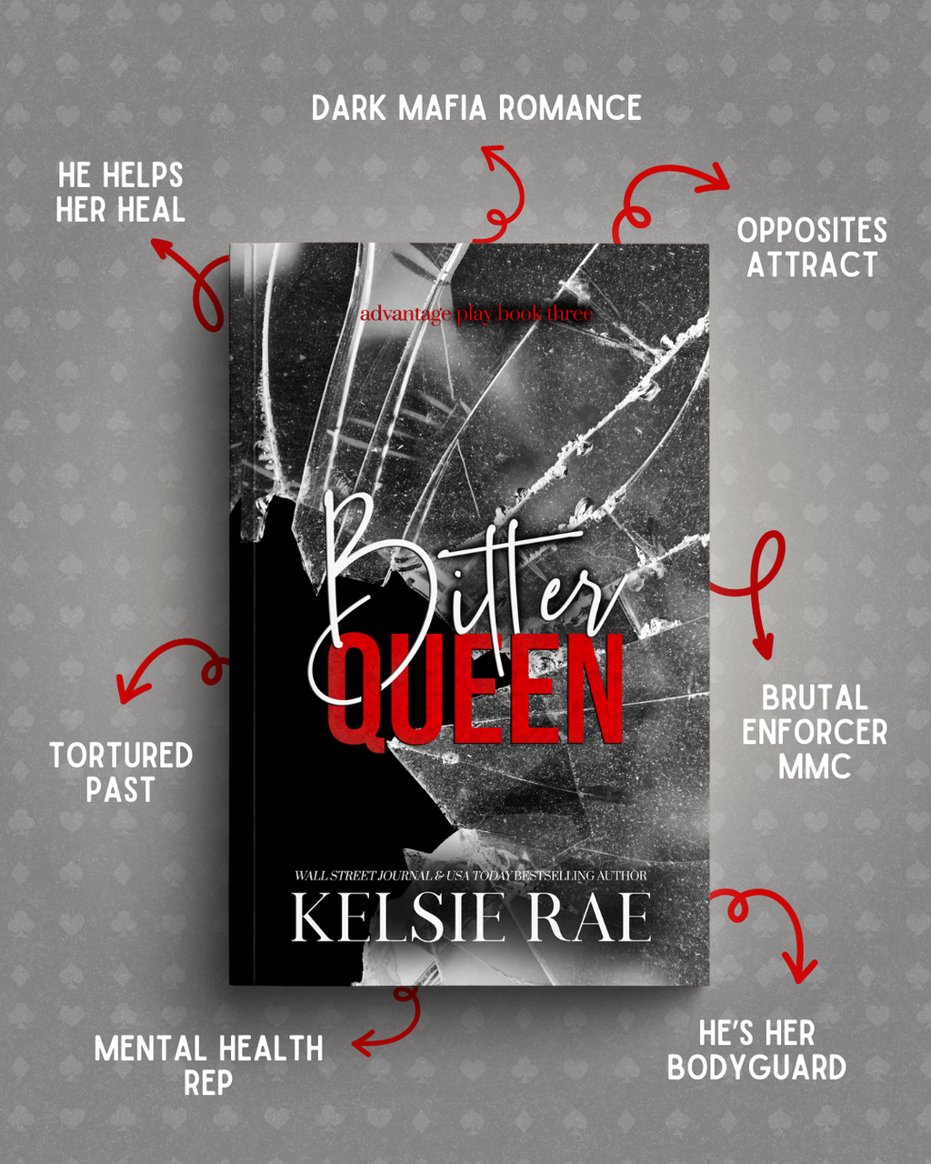 Advantage Play Series Paperback Bundle