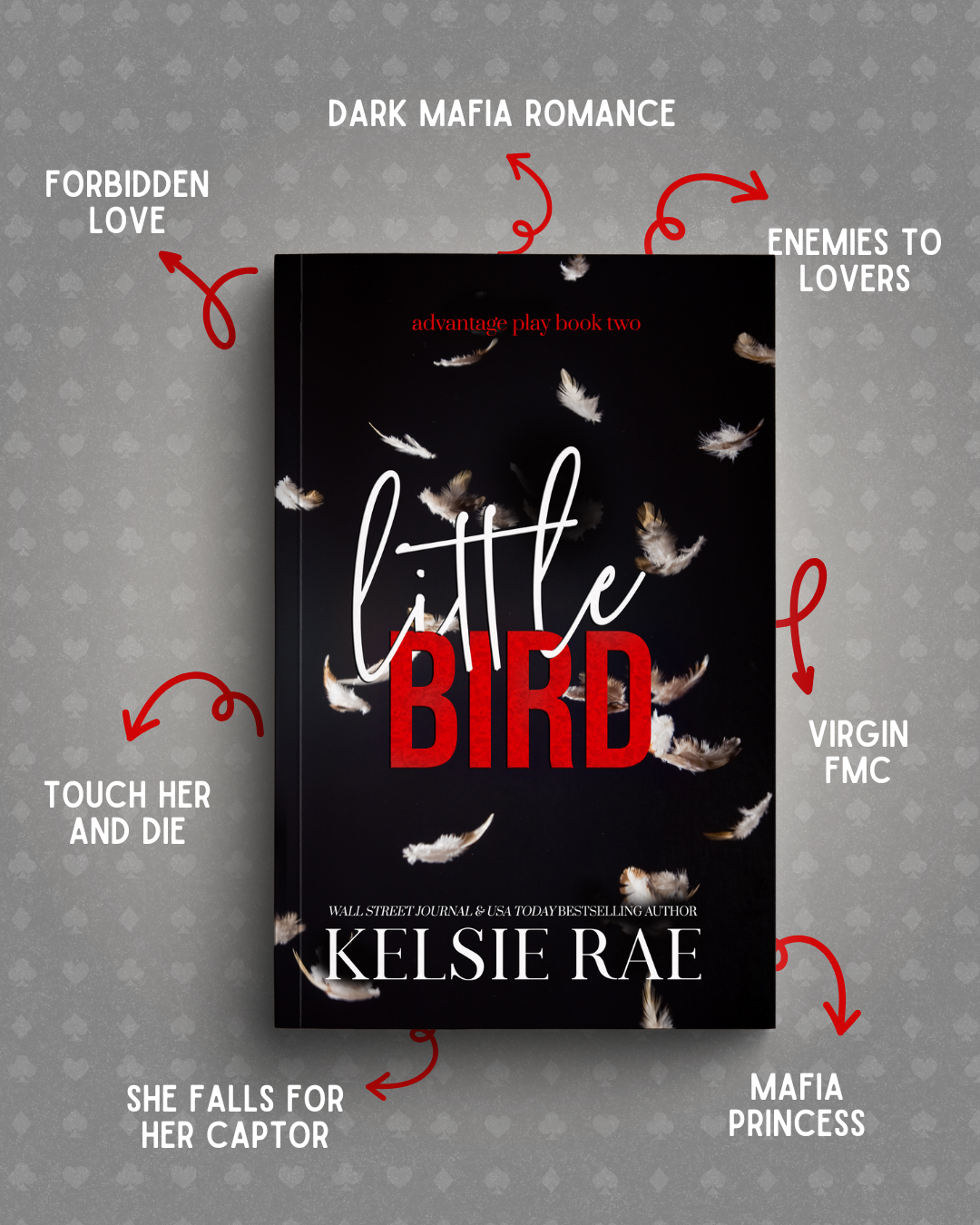 Advantage Play Series Paperback Bundle