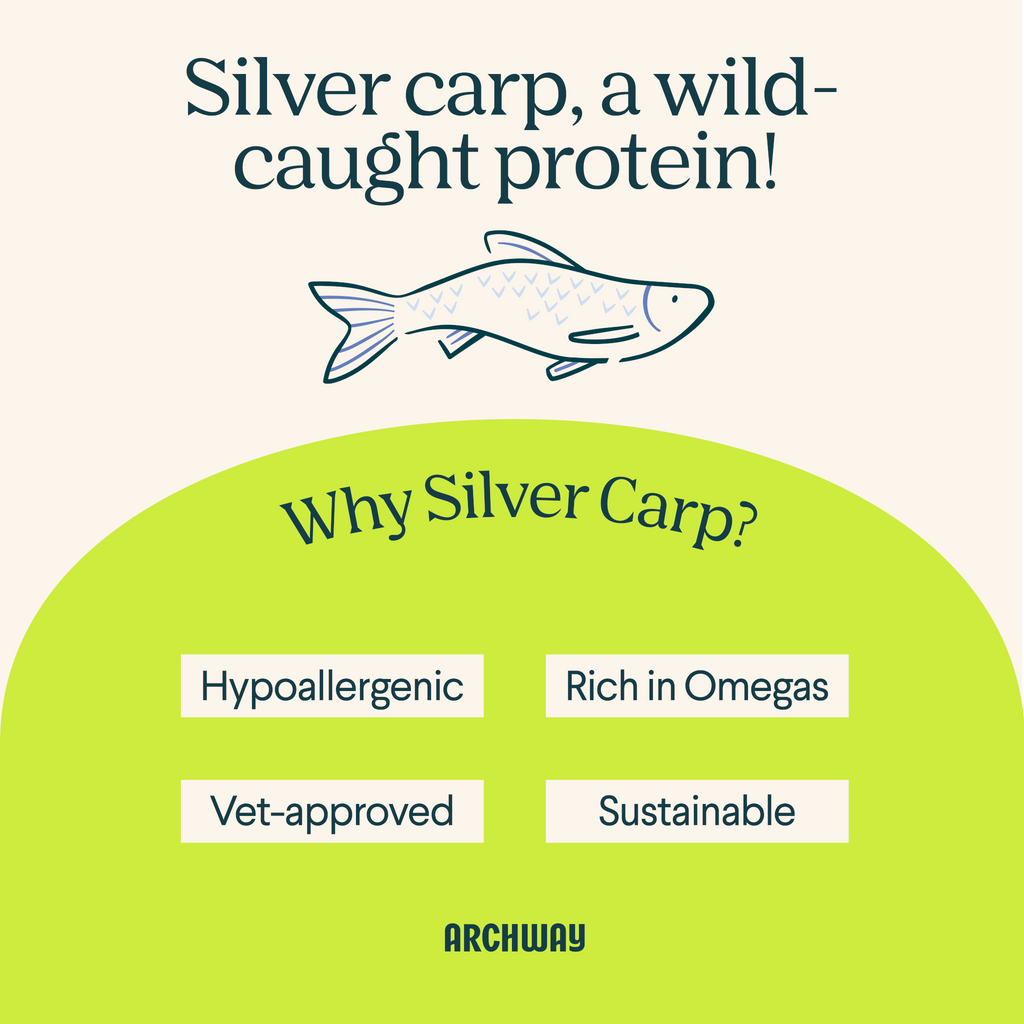 Silver Carp Dog Food