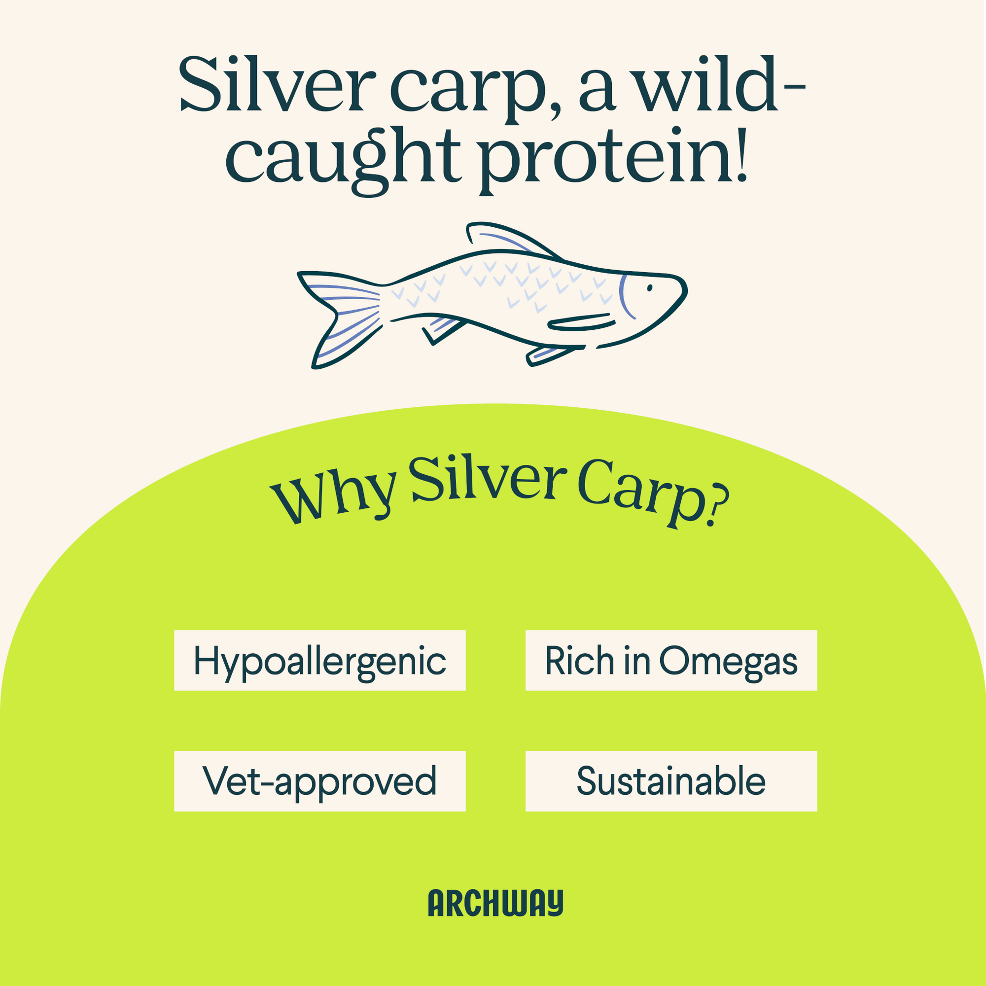 Silver Carp Dog Food
