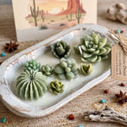 Blooming Garden / Baja Cactus Blossom