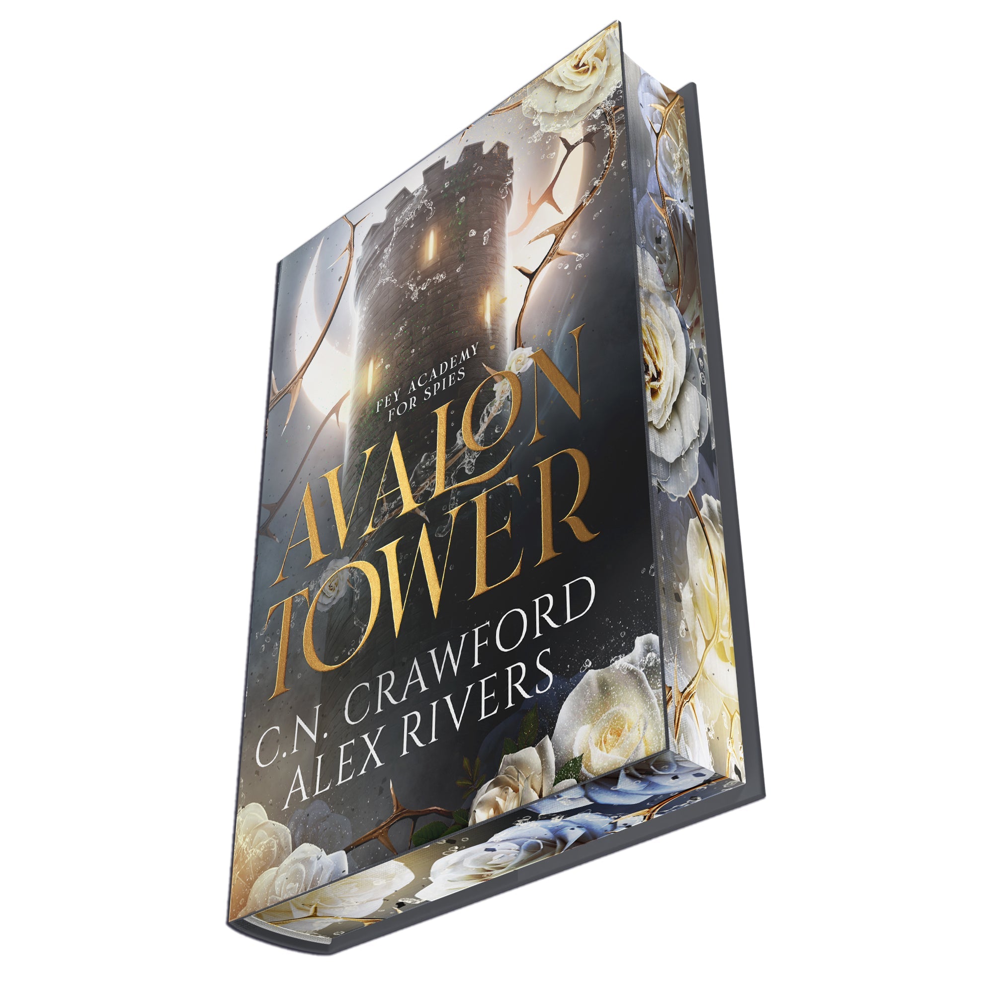 C. N. Crawford Alex Rivers Avalon Tower