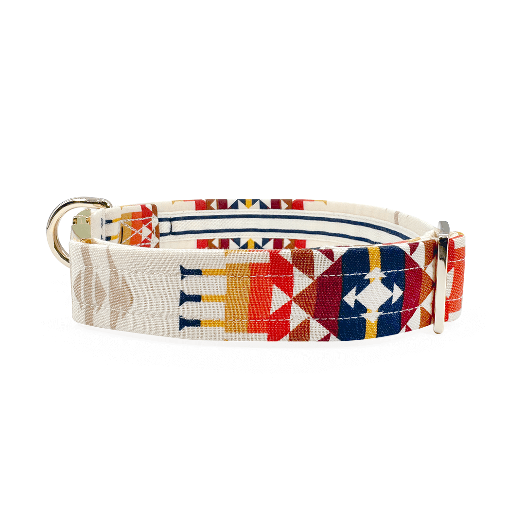 Aztec Southwestern Woven Stripe Buckle & Martingale Collar