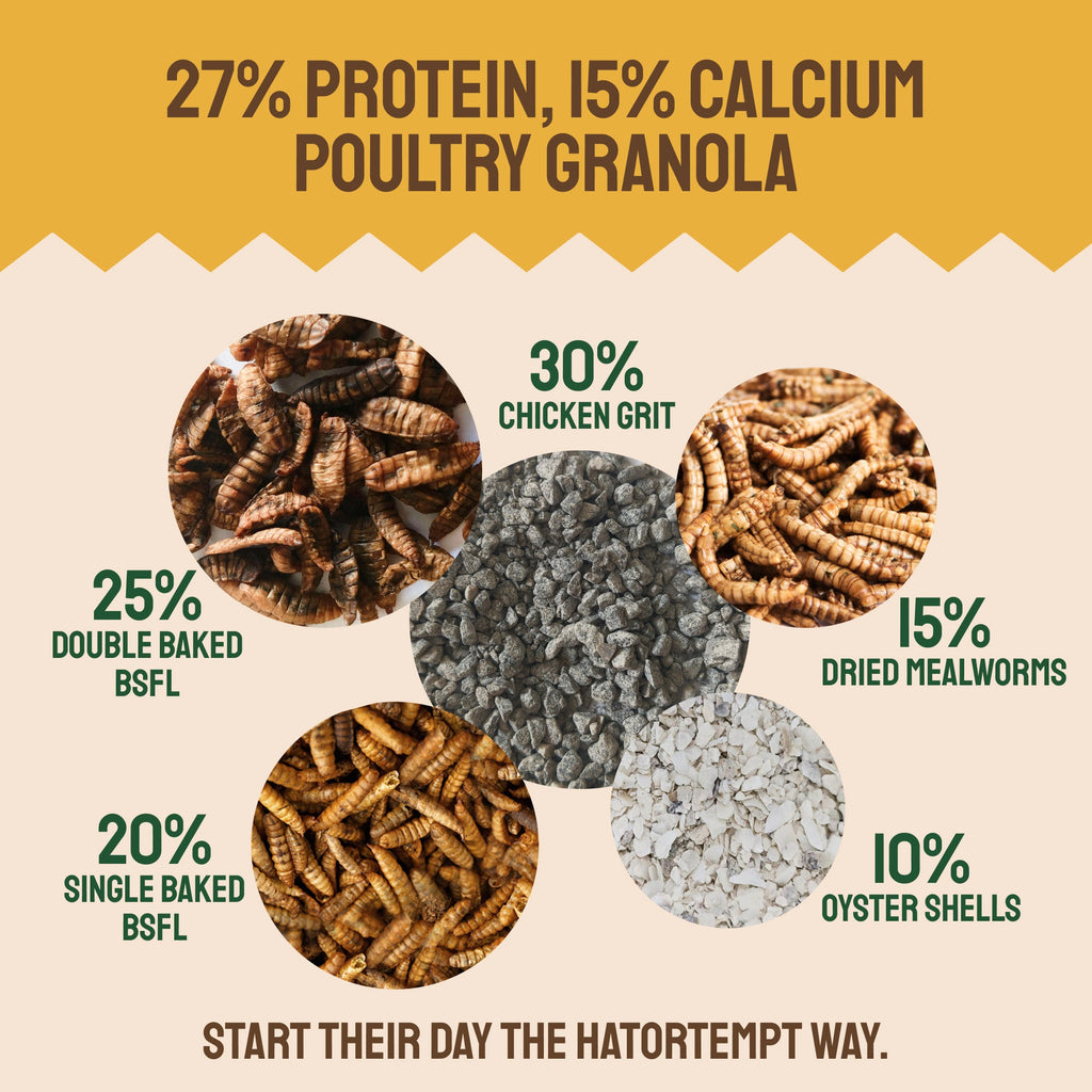 Early Bird Grubs & Grits (Poultry Granola)