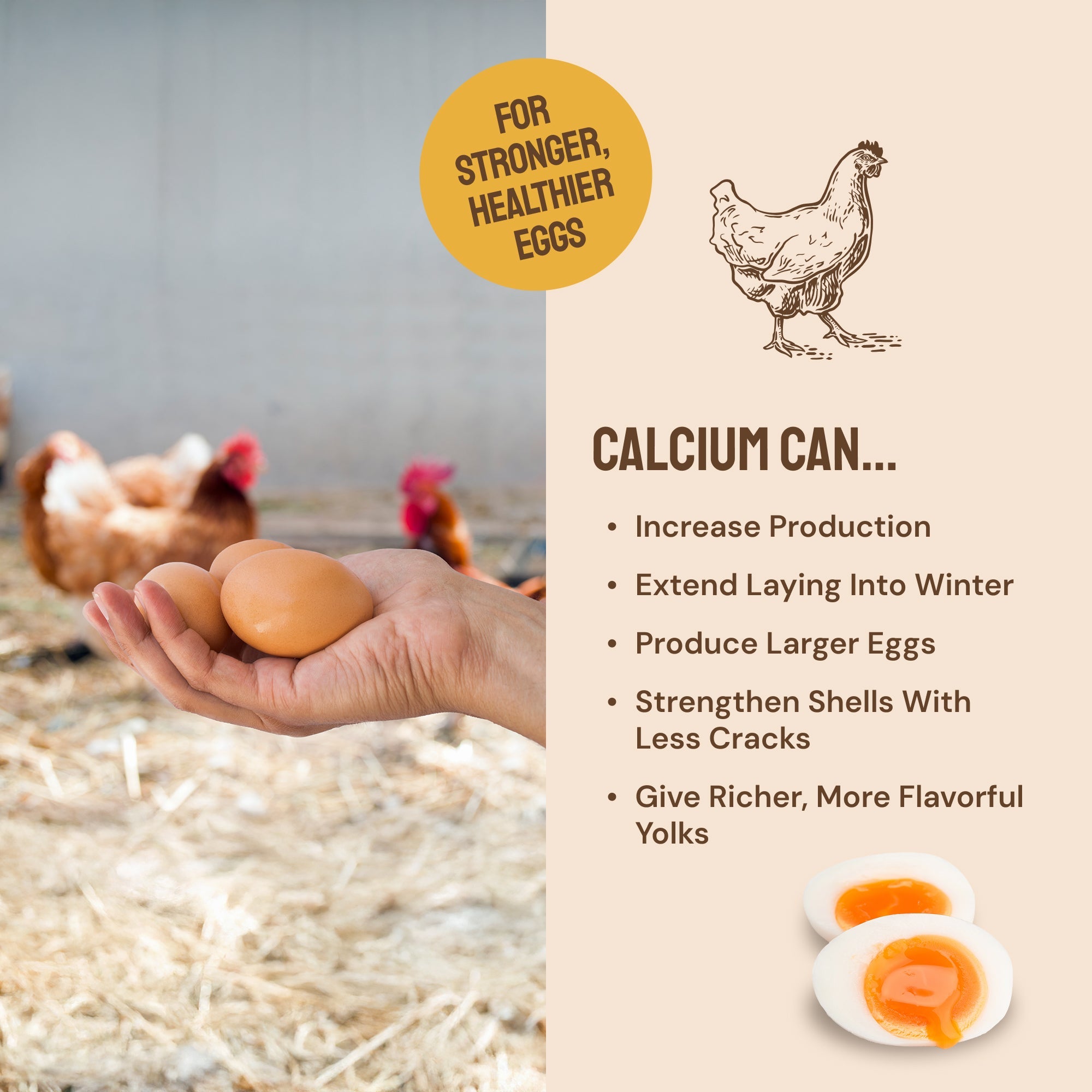 Early Bird Grubs & Grits (Poultry Granola)