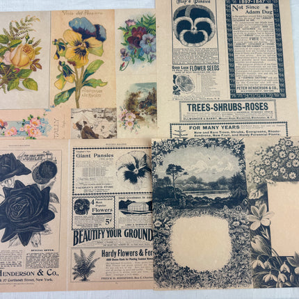 Botanical and Nature Ephemera Kit