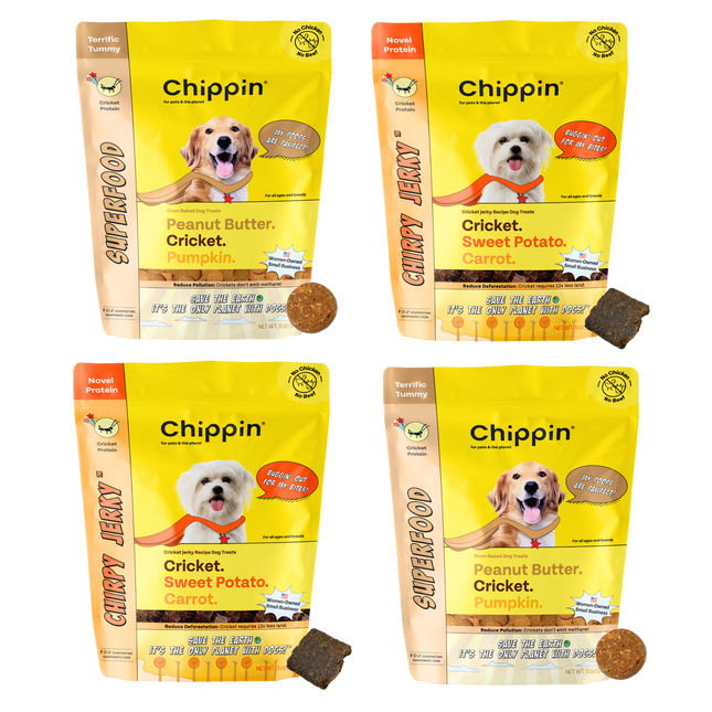 Gut Healthy Dog Treat Variety Bundle