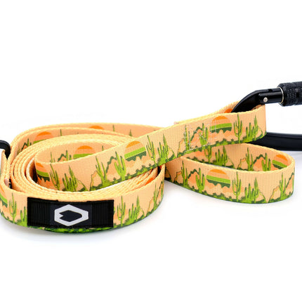 Outdoor Style Collar and Leash SET