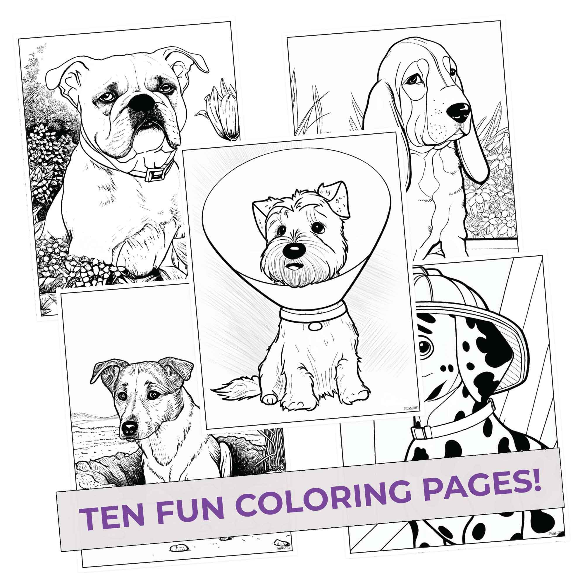 Canine Colors Colored Pencils & Coloring Pages