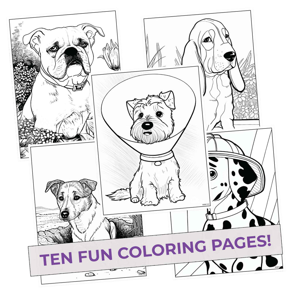 Canine Colors Coloring Pages (10 Pack)