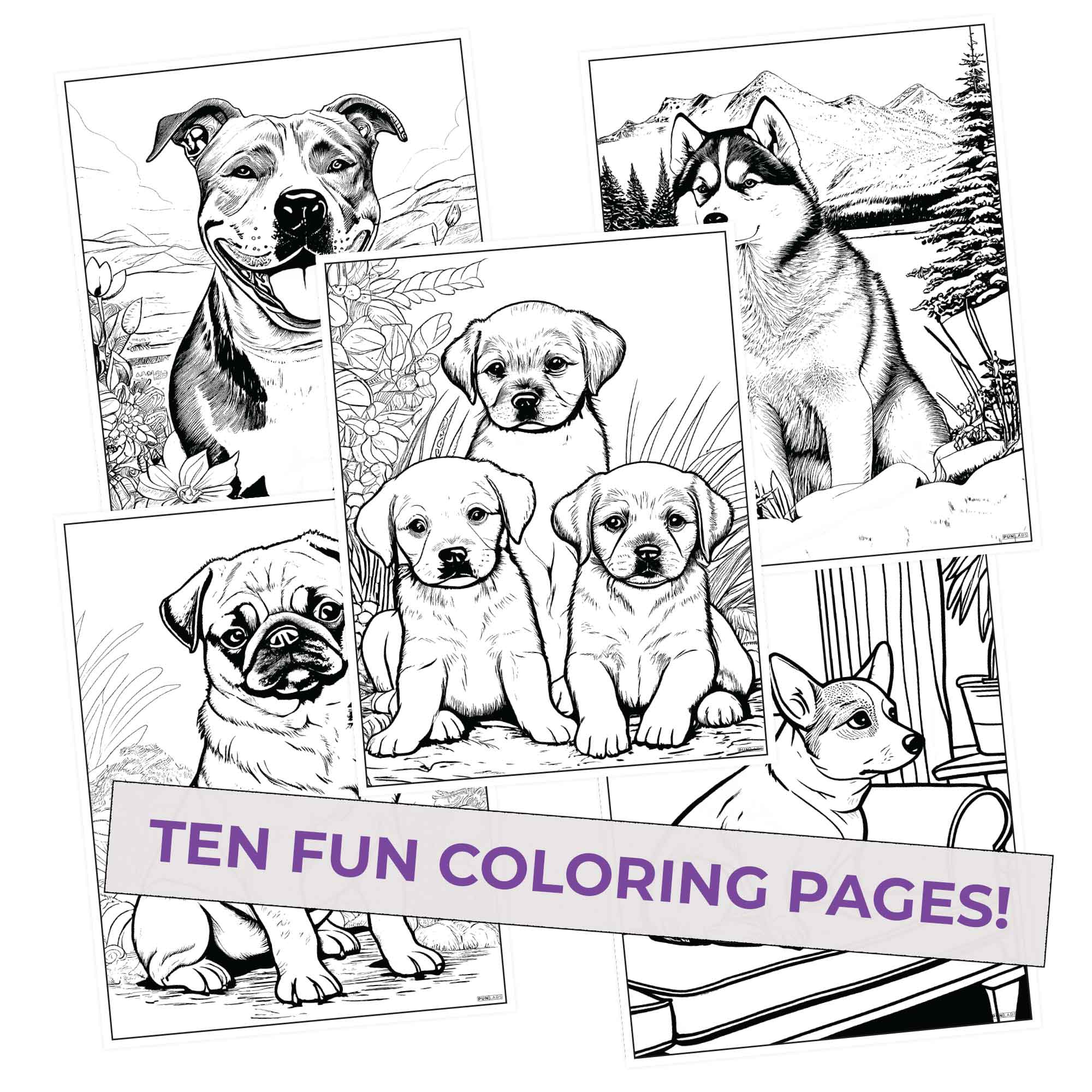 Canine Colors Coloring Pages (10 Pack)