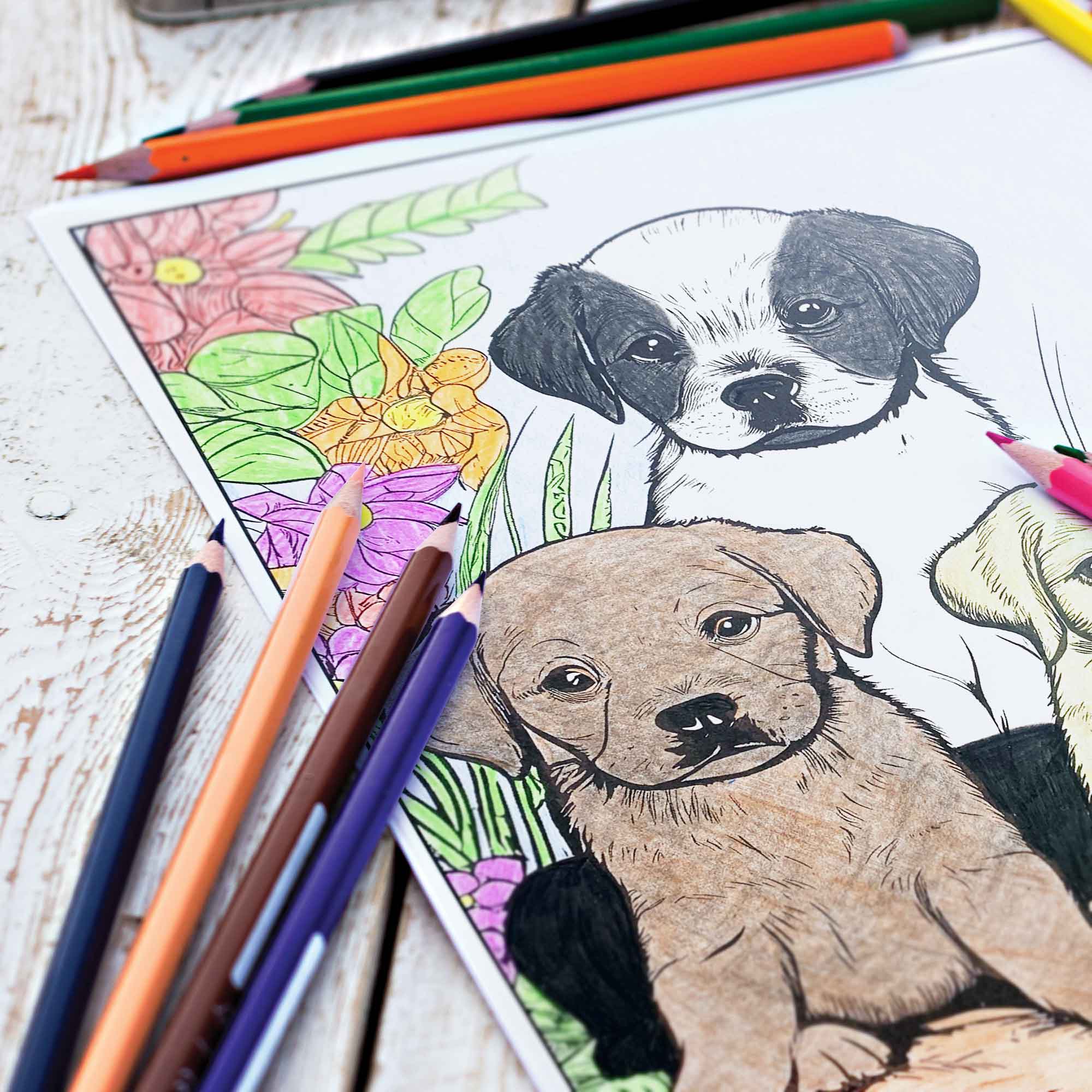 Canine Colors Colored Pencils & Coloring Pages