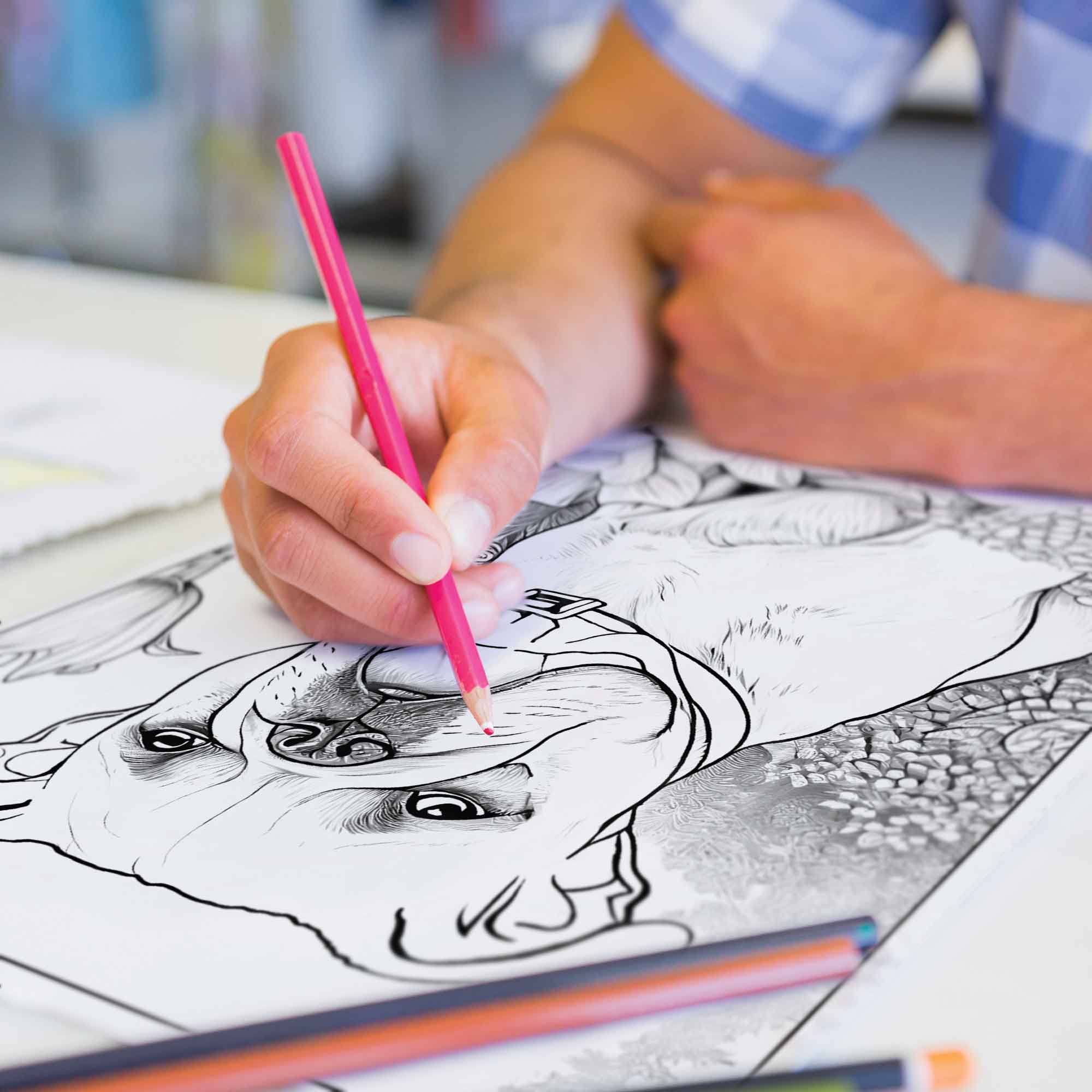 Canine Colors Colored Pencils & Coloring Pages