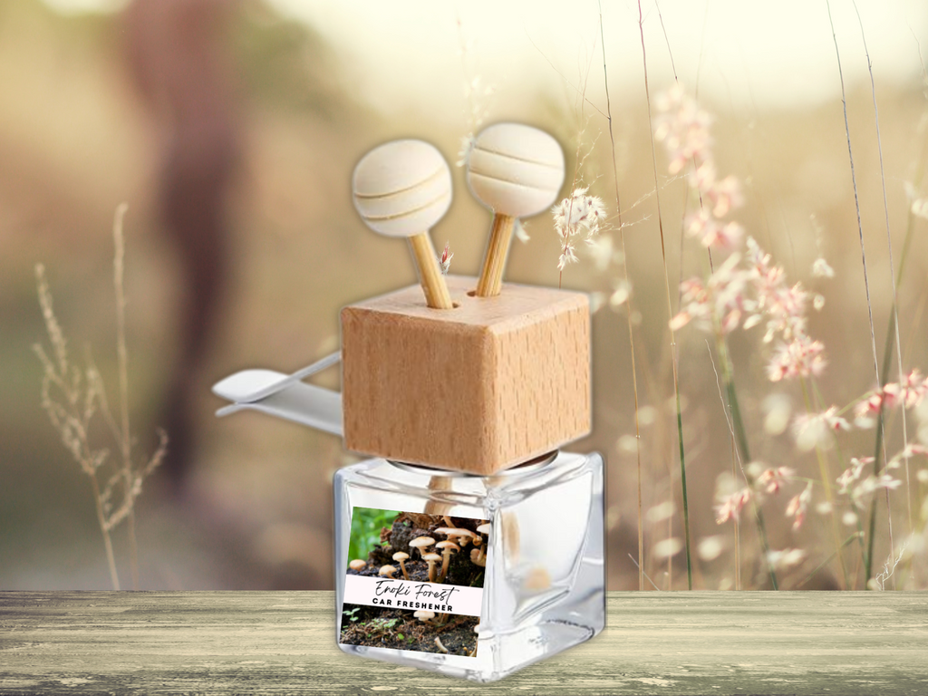 Bold & Masculine Car Diffuser Collection – Sophisticated Woods, Amber & Smoked Aromas