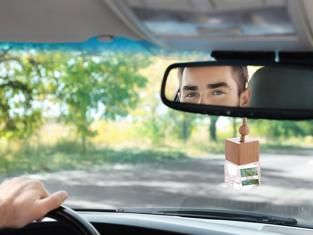 Exotic & Escape Hanging Car Fresheners Collection – Tropical Vacation-Inspired Scents