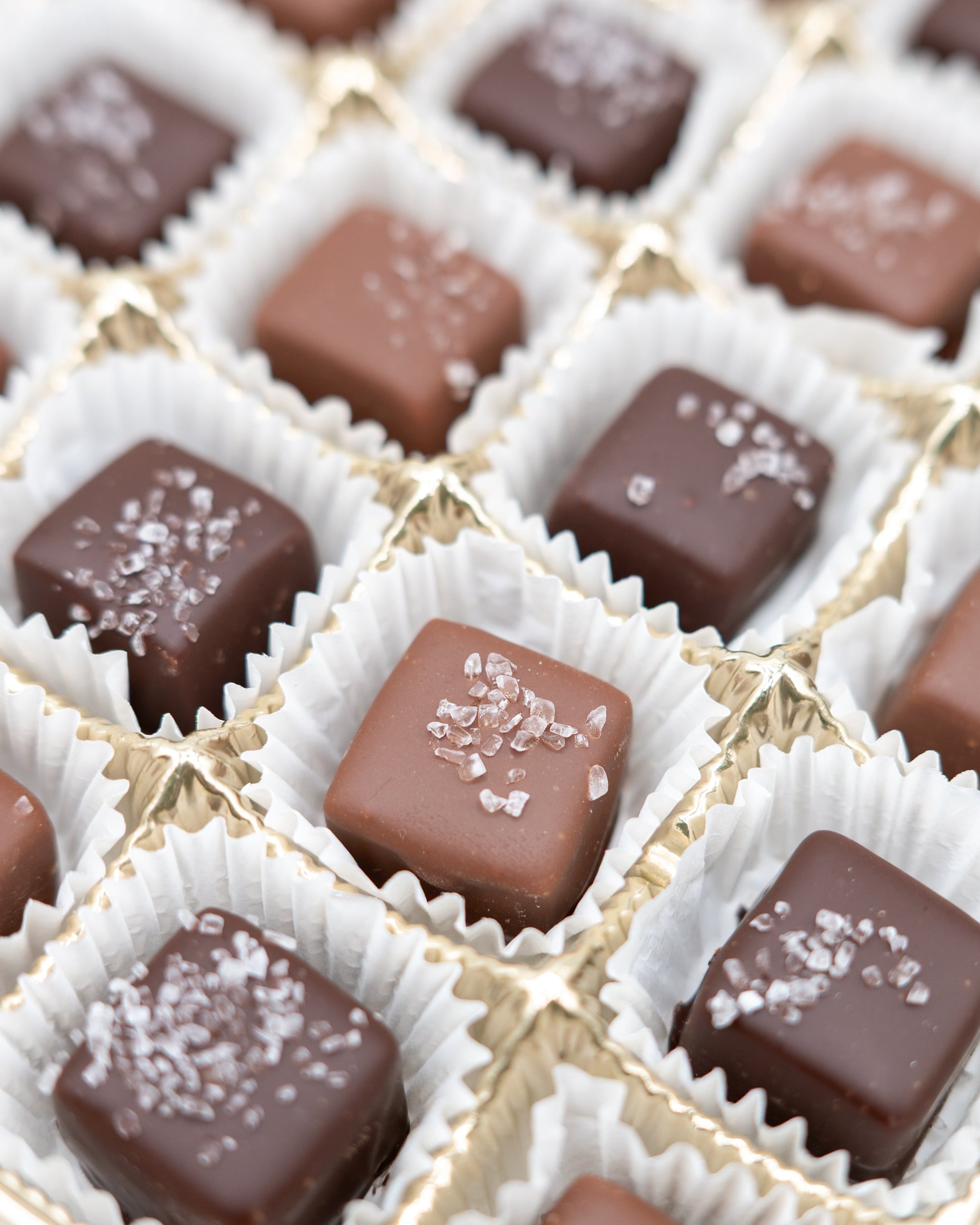 Chocolate Sea Salted Caramels Gift Box