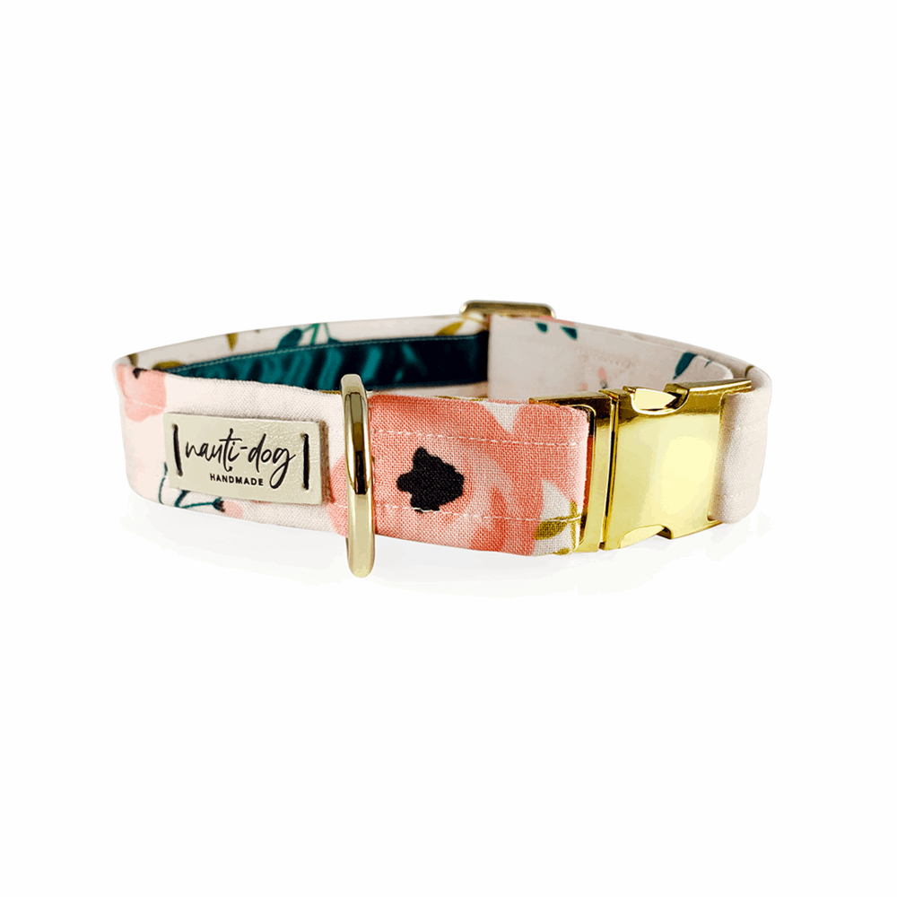 Charleston Blush Floral Tea Rose Buckle & Martingale Dog Collar