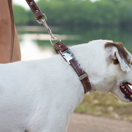 Pro Line Hunting Chocolate Leather Leash