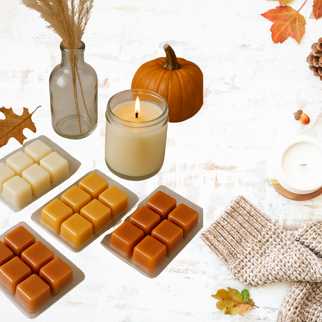 clamshell Wax Melts - Fall & Winter  – Cozy, Woodsy & Spiced Scents for the Cooler Seasons