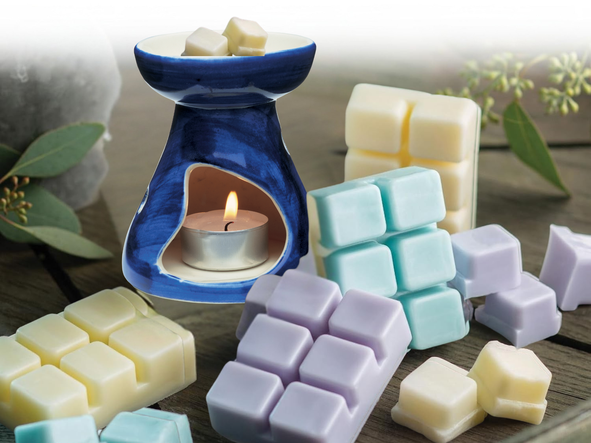clamshell Wax Melts - Best-Selling scents  - Signature Collection