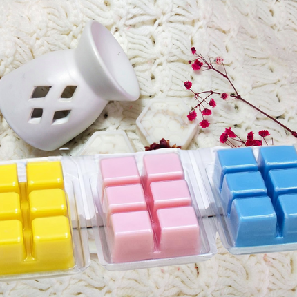 Clamshell Wax Melts – Spring & Summer scents – Fresh, Fruity & Floral for Bright Seasonal Vibes