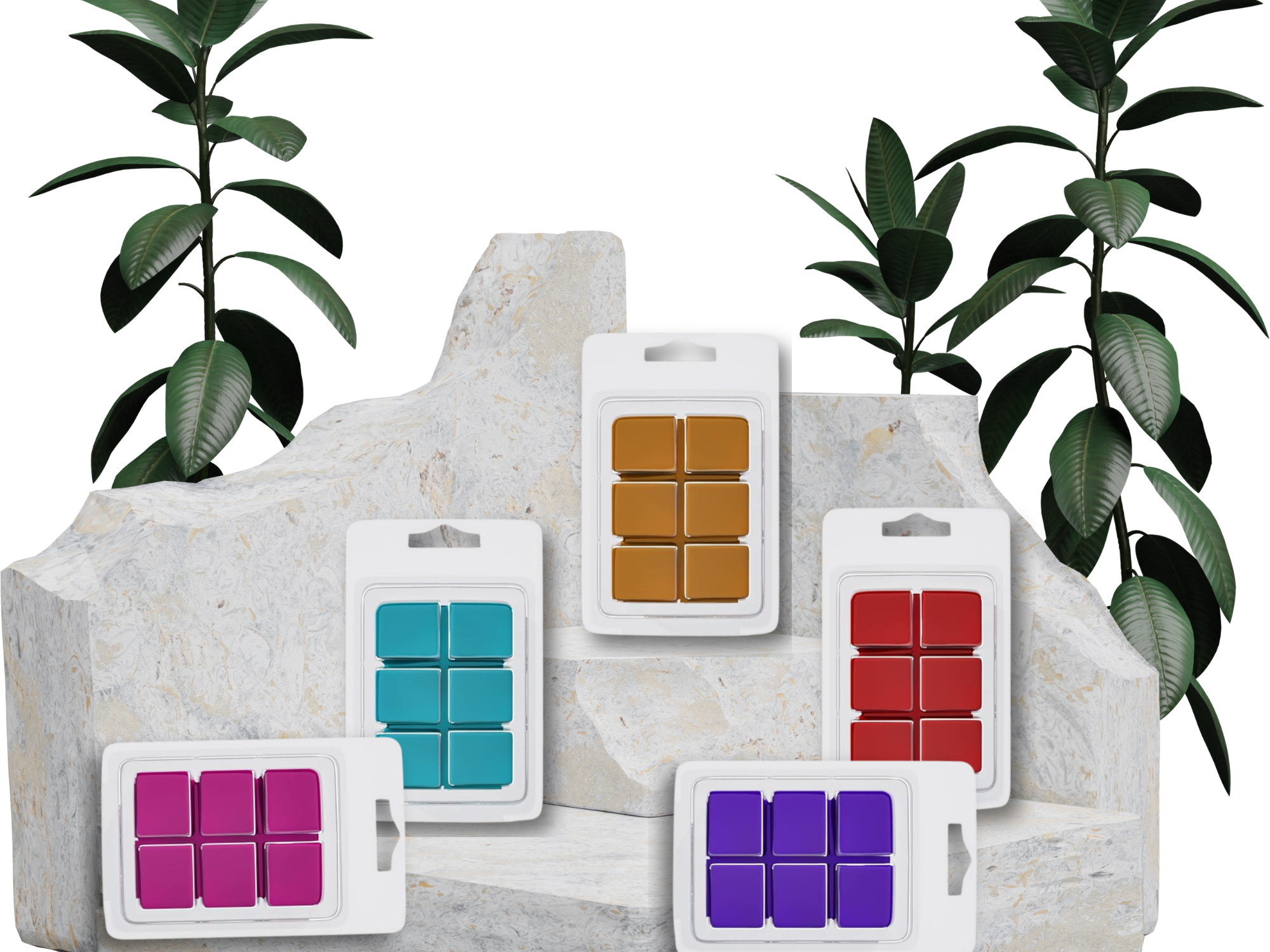 clamshell Wax Melts - Spa & Relaxation  – Calming Aromas for Wellness, Self-Care & Gift Sets