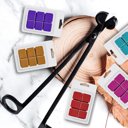 clamshell Wax Melts - Fall & Winter  – Cozy, Woodsy & Spiced Scents for the Cooler Seasons
