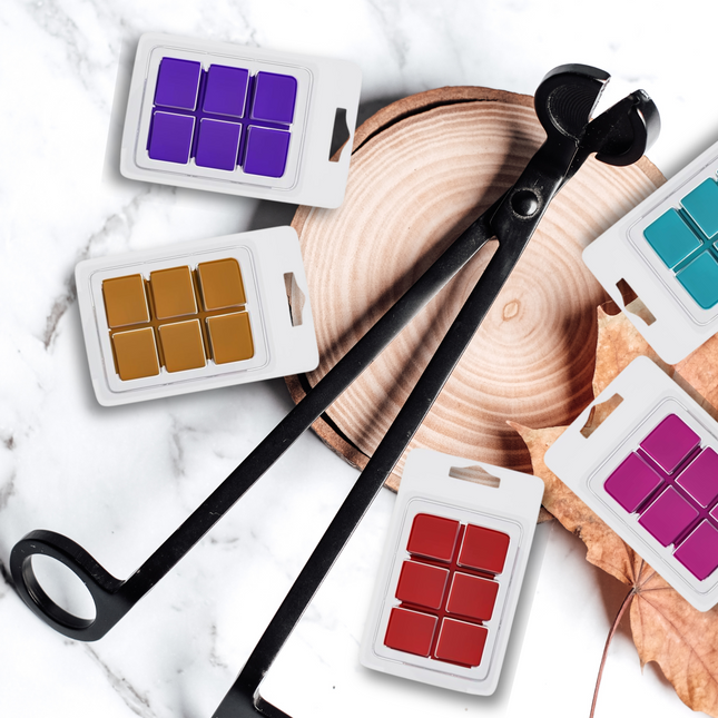 clamshell Wax Melts - Fall & Winter  – Cozy, Woodsy & Spiced Scents for the Cooler Seasons
