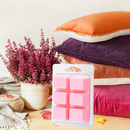 clamshell Wax Melts - Fall & Winter  – Cozy, Woodsy & Spiced Scents for the Cooler Seasons