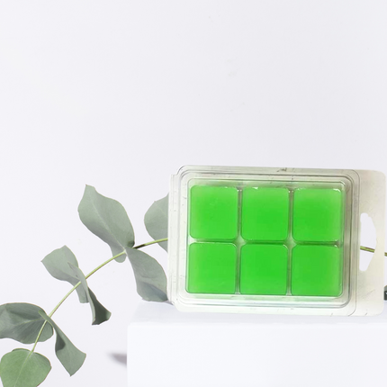 Holiday Special Wax melts – Limited Edition Scents for the Festive Season