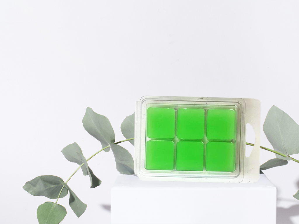 Holiday Special Wax melts – Limited Edition Scents for the Festive Season