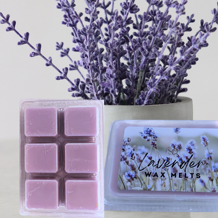 Holiday Special Wax melts – Limited Edition Scents for the Festive Season