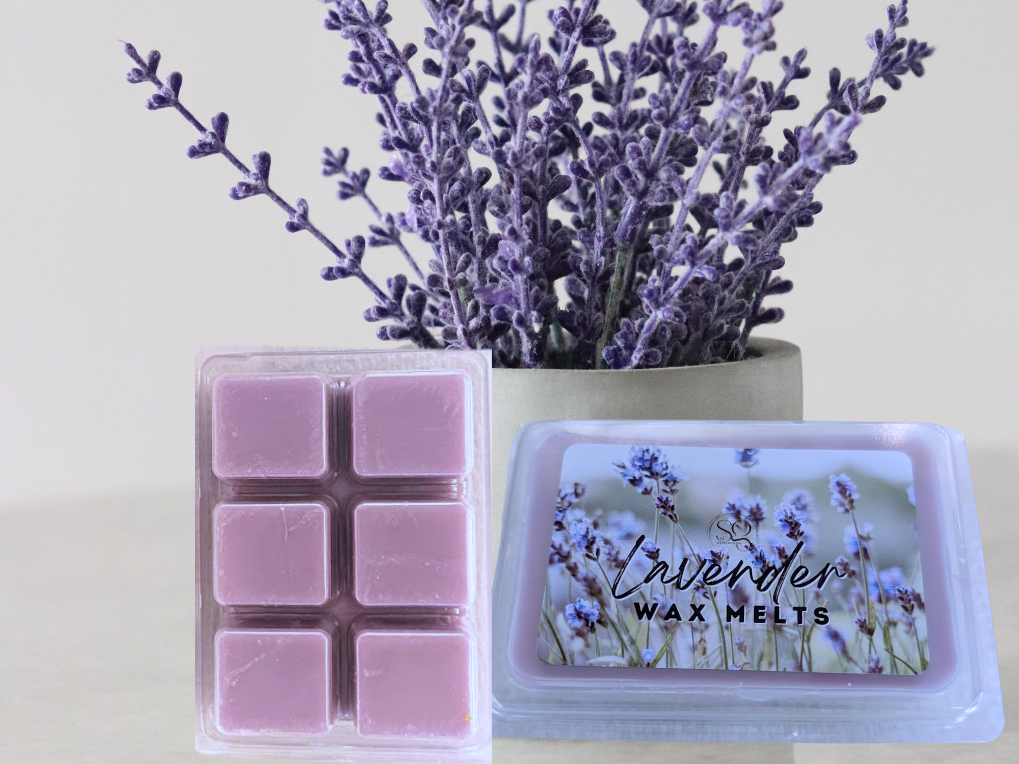 Holiday Special Wax melts – Limited Edition Scents for the Festive Season