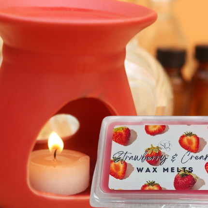 Holiday Special Wax melts – Limited Edition Scents for the Festive Season